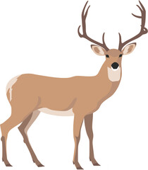 Deer vector illustration