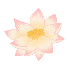 Indian Lotus Pichwai Mughal Style Illustration with Pink and Yellow Floral Design