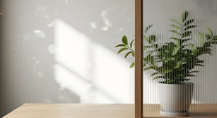 Minimalist Home Decor Featuring Potted Plant with Textured Glass Panel and Wooden Table Surface in Bright Natural Light