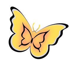 butterfly beautiful wings illustration mockup design.