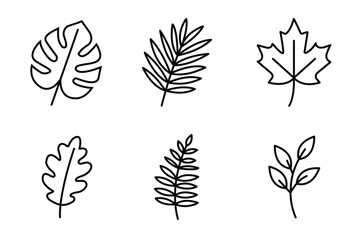Leaves icons set with editable stroke. Outline vector of monstera, palm, maple, oak, fern and branch with leaves. Minimal botanical symbols for nature, ecology, organic and decoration design.