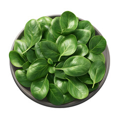 Fototapeta premium Bowl of fresh spinach leaves isolated on transparent background for healthy eating