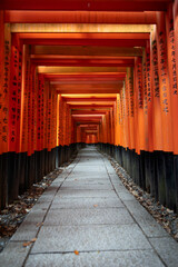 Fototapeta premium Vertical shot of a torii tunnel without people. The light passes through the wooden beams, illuminating the path, a typical entrance of Shinto temples, marked by red wooden structures lining the road
