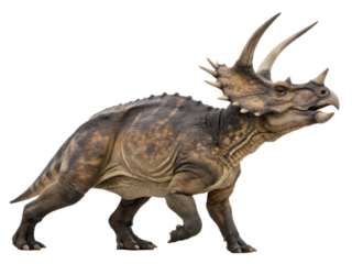 Styracosaurus Dinosaur Illustration Isolated on Black Background Cretaceous Period Herbivore with Horns and Frill Paleontology Jurassic Era Wildlife Prehistoric Creature
