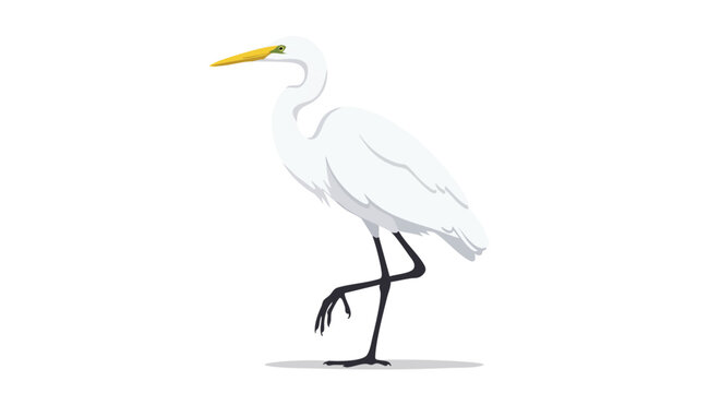 Elegant white heron illustration standing gracefully on one leg against a plain background depicting wildlife nature and avian beauty