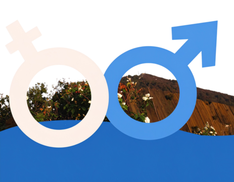 Gender Symbols Male in Blue and Female in Pink PNG