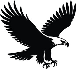 Fototapeta premium Majestic black eagle soaring with spread wings bird