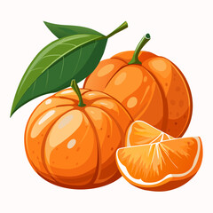 mandarin orange vector