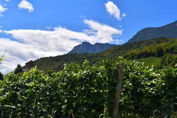 Schöne Landschaft bei Eppan in Südtirol 