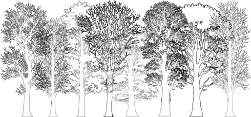Minimal style cad tree line drawing, Side view, set of section wetland forest outline for landscape design, Architectural Drawings, Vector illustration