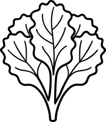 Three Kale Leaves Line Drawing with Wavy Edges