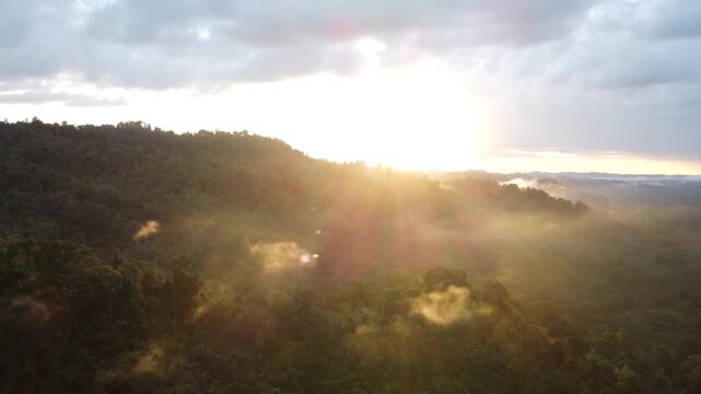 The morning sun rises over the lush jungle of Siberut Island, Mentawai, Sumatra. Drone footage advances into the glowing mist, revealing a cinematic tropical landscape bathed in golden light.