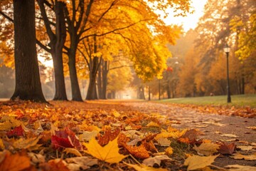 Panoramic beautiful autumn nature background with carpet of orange and yellow fallen maple leaves in sunlight.