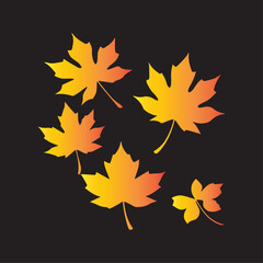 autumn leaves vector