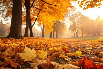 Panoramic beautiful autumn nature background with carpet of orange and yellow fallen maple leaves in sunlight.