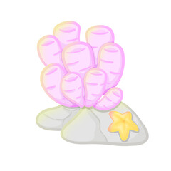 flip flops on white background