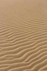 sand ripples in the desert