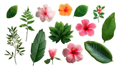 A vibrant collection of tropical leaves and hibiscus blossoms in varying shades of pink and orange, isolated on a white background