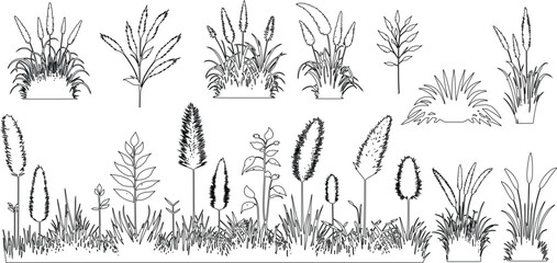Wild grass and meadow plants outline. isolated on white background. Ground cover. Illustration for elevation architectural element, side view, grass section, vector set