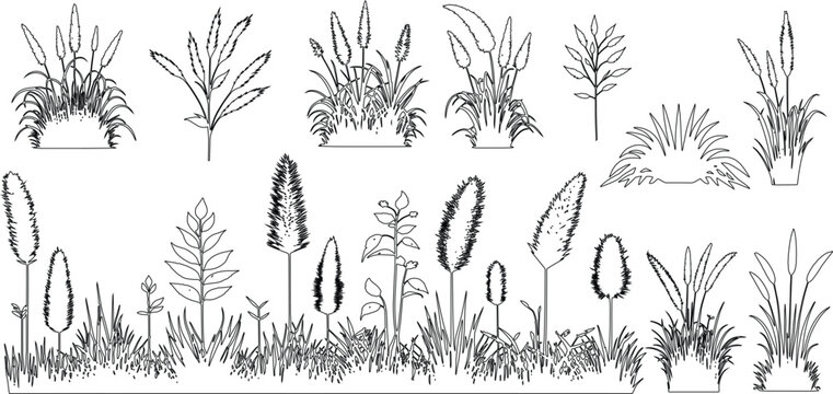 Wild grass and meadow plants outline. isolated on white background. Ground cover. Illustration for elevation architectural element, side view, grass section, vector set
