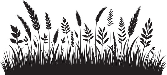Black Silhouette of Grass and Wheat Stalks field meadow. silhouette of grass and wheat vector