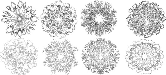 Tree top view line illustrations, treetop for architectural plans, landscape design, tree plan drawing, elements for environment and garden. Top view. Vector illustration.
