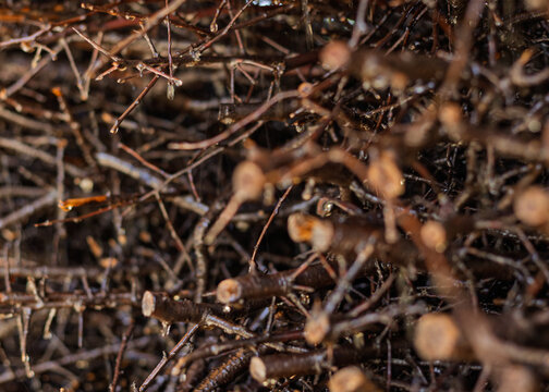 Close-up of brine graduation tower structure