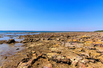 オーストラリア、ダーウインのイーストポイントの海岸