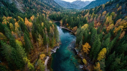 autumn river valley alpine forest