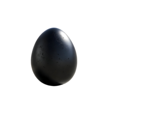 Dark egg on matte concrete surface isolated on a transparent background black