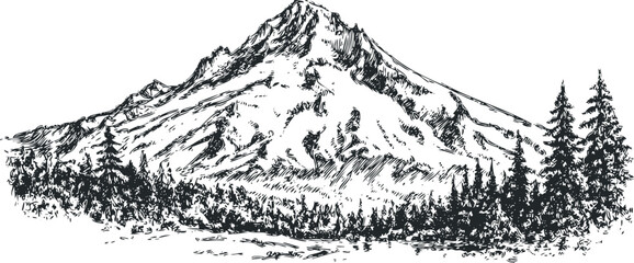 Sketchy Mountain Peak with Evergreen Trees Forest Scene