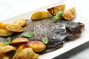 Tasty roasted flounder fish served with potatoes, basil and lemon slices on white marble table, closeup. Homemade seafood dish