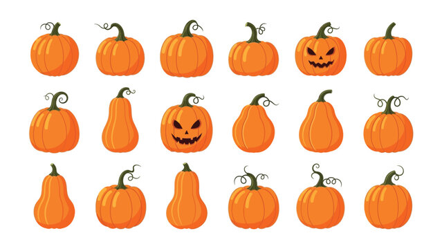 Autumnal Pumpkin Patch: A vibrant display of pumpkins in various shapes, and sizes. Each gourd radiates the festive spirit of autumn, conjuring imagery of seasonal harvests.