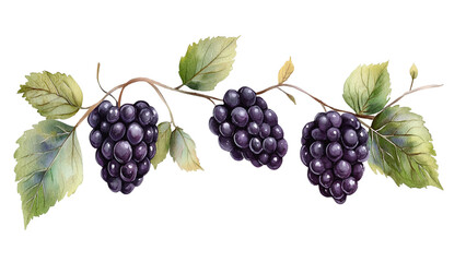 Fototapeta premium Fruit cartoon mascot PNG concept. Playful cartoon fruits with happy expressions and leafy accents.