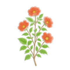     Bright red-orange flowers bloom gracefully among lush green leaves