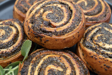 Close-up of homemade poppy seed rolls on a plate over wooden table. Golden brown pastry swirls filled with rich poppy seed filling. Concept of homemade baking, sweet pastry, desserts and bakery food