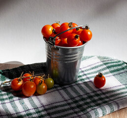 cherry tomatoes in a bucket on a tablecloth under the sun.
