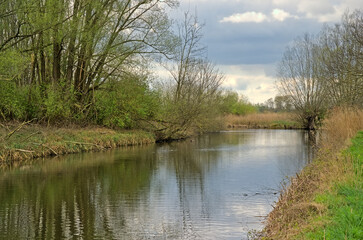 Creek with reed and trees under a cloudy sky in the marsh of Bourgoyen nature reserve, Ghent, Belgium 