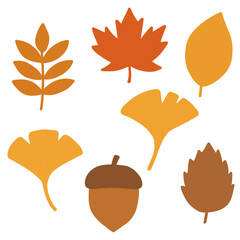 가을 나뭇잎과 낙엽