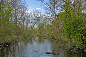 Fresh green spring trees reflecting in the water of a stream on a cloudy spring day in Bourgoyen nature reserve, Ghent, Flanders, Belgium 
