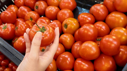 A person is holding a tomato in a basket of tomatoes