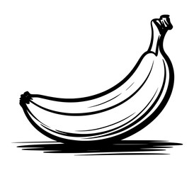 Hand drawn banana sketch illustration in black and white vector style