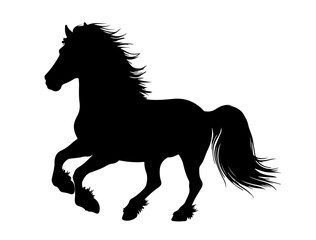 Hourse in silhouette on white background