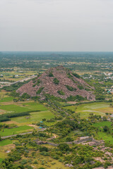 A mountain is in the background of a field
