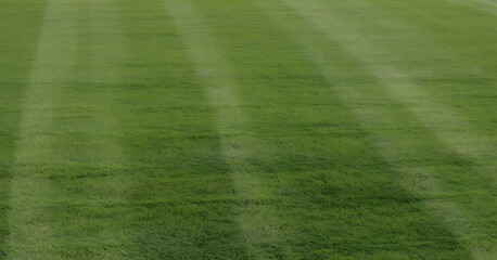 Perfectly Manicured Green Grass Lawn Showing Mower Stripes on a Sunny Day Ideal for Golf or Sport