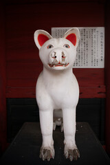 板橋不動尊　茨城　白犬