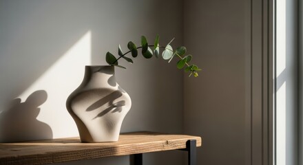 Elegant minimalist vase with curved eucalyptus branch in sunlit room