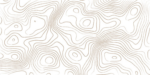 Topographic map lines, contour background. Background of the topographic map. Image grid geographic relief topographic contour line maps cartography texture
