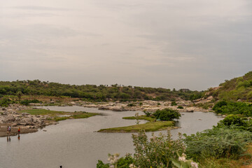 A body of water with a few trees in the background