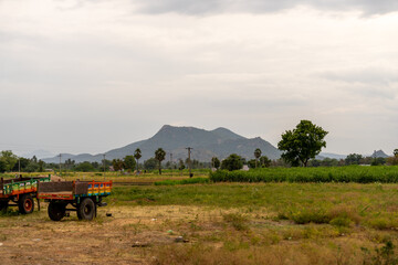 A green and red truck is parked in a field